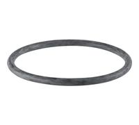 Geberit PE Joint torique, DN 125, dø 125 mm, 368.789.00.1