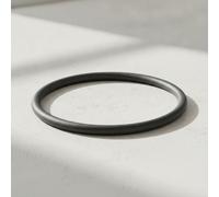 Geberit PE Joint torique, DN 50, dø 50 mm, 361.789.00.1
