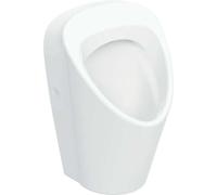 Geberit Renova S urinoir, entrée par l'arrière, sortie à l'arrière et en bas, 330x300x550mm, 503.100.00.8, Couleur: blanc / KeraTect