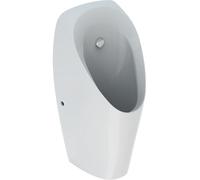 Geberit Tamina urinoir 116.140.00.1