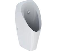 Geberit Tamina urinoir 116.142.00.1