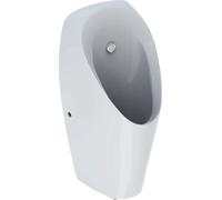 Geberit Tamina urinoir 116.144.00.1