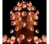 Gebiuhoo Guirlande Lumineuse rose fée - 1 Pièce 5M 50 ampoules Decoration Chambre Guirlande LED 8 modes d'éclairage fairy lights Design floral pour la décoration intérieure et extérieure