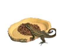 Gecko Feeding Ledge - PVC 11x8x1cm | Simulation Food Cups Feeder | Drôle Reptile Feeding Dish Accessory For Chameleon Bearded Dragon Lizards Terrarium Care And Daily Pet