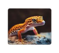Gecko Léopard Tapis De Souris Antidérapante Tapis Souris Portable Mouse Pad pour Maison Jeux Ordinateur 25X30Cm