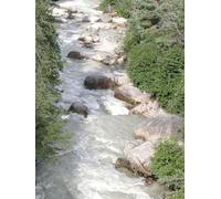 Gedichte für mich und andere