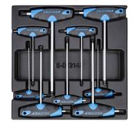 Gedore Module avec assortiment Quantité:1