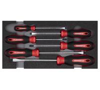 GEDORE Red R22150014 Jeu de tournevis PZ+SL 2/6 CT-Modul 6 pièces