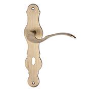 Gedotec Plaque Longue Poignee de Porte | LÖFFEL | 1 Paire de Poignée à vintage avec matériel fixation inclus | Laiton Antique Bruni | Garniture de porte pour portes intérieures | BB - Barbe Colorée