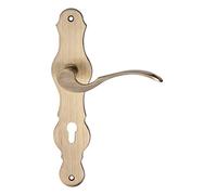 Gedotec Plaque Longue Poignee de Porte | LÖFFEL | 1 Paire de Poignée à vintage avec matériel fixation | Laiton Antique Bruni | Garniture de porte pour portes intérieures | PZ - Cylindre