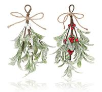 GEEHUA Lot de 2 décorations de gui de Noël artificielles à suspendre, décoration de gui pour baiser, feuilles sèches, décoration brillante pour arbre/porte