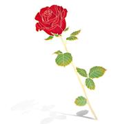 GEEHUA Marque-page en métal avec rose - Marque-page avec fleur rouge - Cadeau pour les enseignants, les amateurs de livres, les lecteurs, les femmes, les filles, les mères, les amis, la