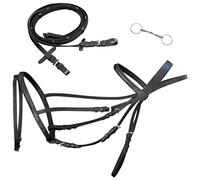 GeenYuu Bride Flash en Cuir de Buffle Noir Complet avec rênes, muserolle cambrée, 7 Niveaux de réglage, Rembourrage sur Arceau, Bride bridon pour Cheval et Poney en équitation Dressage Obstacle