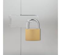 GeenYuu Cadenas en U serrure avec clés 50 pcs en fer finition laiton 7,4 x 2,1 x 10,6 cm robuste résistant aux intempéries pour casier armoire porte fenêtre sécurité intérieure extérieure