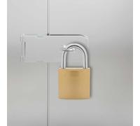 GeenYuu Cadenas U en Fer avec Clés 6 pcs Laiton Résistant aux Intempéries pour Sécuriser Casier Armoire Portail Porte Fenêtre