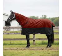 GeenYuu Couverture Équine en Polyester Vert foncé et Noir 115 cm, et Respirante, Protection Chaleur et Froid pour Cheval et Poney, Ajustable avec Sangle et Attache
