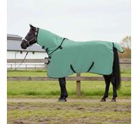 GeenYuu Couverture Équine Vert en Polyester 85 cm, Chemise Couvre Rein pour Cheval et Poney avec Sangle Ajustable, Protection Respirante Contre Froid et Humidité pour Écurie, Paddock
