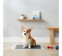 GeenYuu Tapis alèse éducateur pour Chiot Chien Chat 100 pcs Tissu Non tissé Absorbant jetable avec Bords Anti-Fuite 90x60 cm pour Apprentissage propreté intérieur Maison hygiène contrôle Odeur