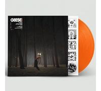 Geese - Projector