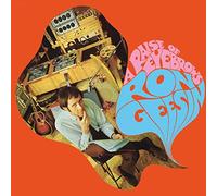 Geesin, Ron - A Raise of Eyebrows [Import]