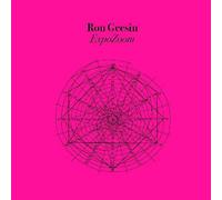 Geesin Ron - Expozoom