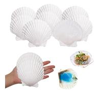 GEFIRE 10 Coquilles Saint Jacques 9-11cm Décoration Bricolage