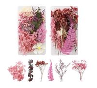 GEFIRE Fleurs séchées Naturelles et pétales séchés 2 Pièces Vraies Fleurs Pressées Fleurs séchées colorées pour Loisirs créatifs DIY Bougie Ongles Artisanat Scrapbooking Décoration Florale (Rose)