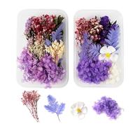 GEFIRE Fleurs séchées Naturelles et pétales séchés 2 Pièces Vraies Fleurs Pressées Fleurs séchées colorées pour Loisirs créatifs DIY Bougie Ongles Artisanat Scrapbooking Décoration Florale (Violet)