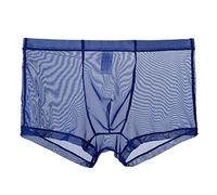 Gefomuofe Sous-vêtements pour homme - Transparent - Sexy - Boxer de sport - Collants - String transparent, bleu, L