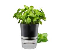 GEFU Pot à herbes 18920 Argent/Noir Ø 14,3 cm, h 18,5 cm