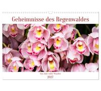 Geheimnisse des Regenwaldes (Wandkalender 2027 DIN A3 quer), CALVENDO Monatskalender: Ein Jahr voller Farben, Formen und floraler Wunder - entdecke die verborgenen Schätze der Natur, Tag für Tag.