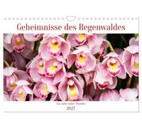 Geheimnisse des Regenwaldes (Wandkalender 2027 DIN A4 quer), CALVENDO Monatskalender: Ein Jahr voller Farben, Formen und floraler Wunder - entdecke die verborgenen Schätze der Natur, Tag für Tag.