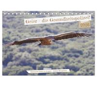Geier - die Gesundheitspolizei! (Tischkalender 2026 DIN A5 quer), CALVENDO Monatskalender: Geier sind ganz anders, als das Bild, das wir von ihnen haben!