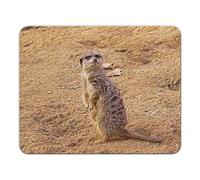 Geist und Geschenk Empire Tapis de souris imprimé suricates 24 x 19 cm Impression numérique brillante MP03