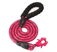 GEIT Laisse Robuste en Nylon réfléchissant avec Fermeture Rapide en Aluminium et Clip de Verrouillage Tactique Grenouille pour Chiens de Petite, Moyenne et Grande Taille, Rouge, 1,3 cm