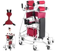 GEJLELDS Déambulateur pour Personnes âgées, Cadre Debout de réadaptation pour hémiplégie, Aide à la Marche pour Adultes handicapés, déambulateur médical avec Frein à Main,Women's
