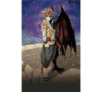 Gekijouban Fairy Tail: Dragon Cry / Fairy Tail Dragon Cry (DVD) G