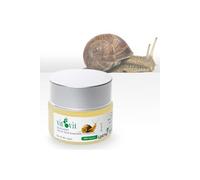 Diet Esthetic Vit Vit Snail Extract Gel 50ml