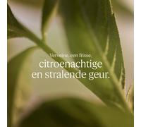 Gel de douche L'Occitane En Provence KARITÉ CONFORT 500 ml