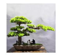 GELASIGE Arbre Artificiel Simulation de bonsaï d'intérieur for Salon, Ornement en Pot, Fausse Plante, Simulation de Plante Verte Arbre Artificiel D'intérieur(A)