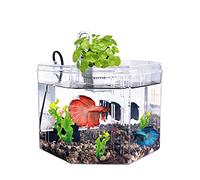 GELASIGE Petit aquarium créatif en acrylique transparent en mousse pour décoration d'aquarium