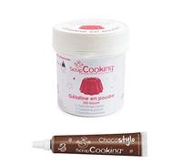 Gélatine en poudre + Stylo chocolat