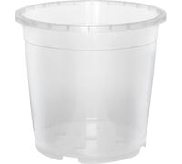 Pot transparent pour orchidée 15 cm transparent