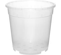 Geli Phalaenopsis Pot pour orchidées Transparent Ø 17 cm - Plastique