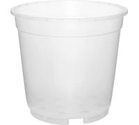 Geli Phalaenopsis Pot pour orchidées Transparent Ø 19 cm - Plastique