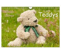 Geliebte Bären - Teddys (Wandkalender 2026 DIN A4 quer), CALVENDO Monatskalender: Wunderschöne Fotos von Teddybären die zum Träumen einladen