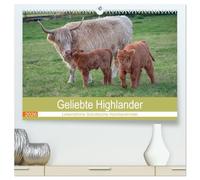 Geliebte Highlander (hochwertiger Premium Wandkalender 2026 DIN A2 quer), Kunstdruck in Hochglanz: Aktive Herde von Schottischen Hochlandrindern