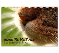 geliebte Katzen - auf Samtpfoten durchs Jahr (Wandkalender 2026 DIN A3 quer), CALVENDO Monatskalender: Katzenfotografie