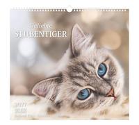 Geliebte Stubentiger 2027: Beloved Cats - Adorables Chats