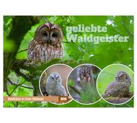 geliebte Waldgeister (Wandkalender 2026 DIN A3 quer), CALVENDO Monatskalender: Die Waldkauz-Ästlinge haben gerade erst ihre Bruthöhle verlassen und ... lange bevor sie richtig fliegen können.